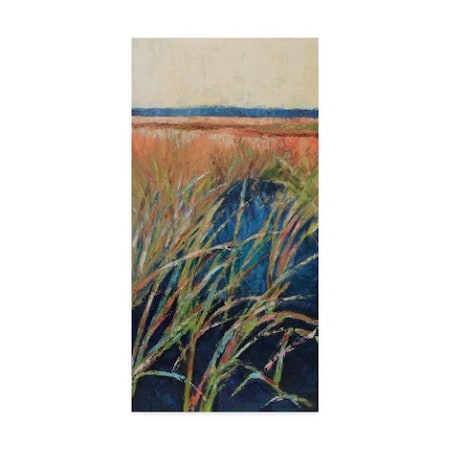 Suzanne Wilkins 'Pastel Wetlands I' Canvas Art,24x47
